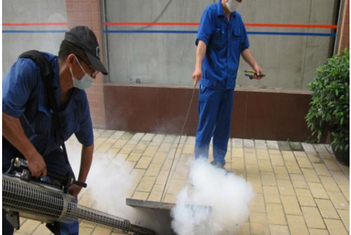 南通除虫公司主要从事哪些病虫害防治工作？